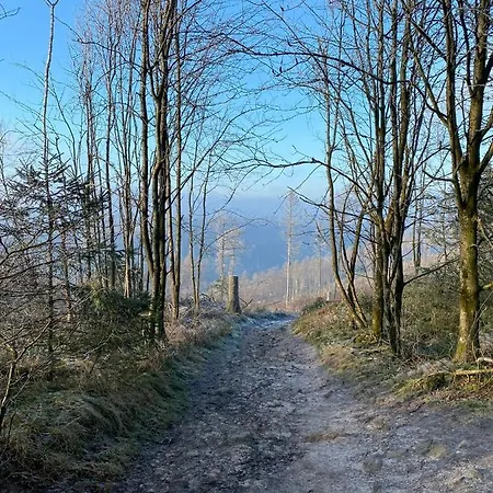 Weite Blicke In * Horn-Bad Meinberg