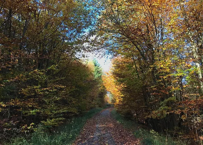 Lejlighed Weite Blicke In