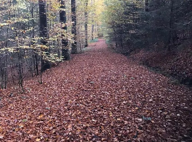 Lejlighed Weite Blicke In