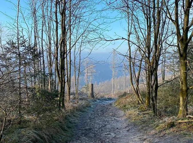 Weite Blicke In * Horn-Bad Meinberg